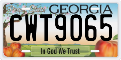 GA license plate CWT9065
