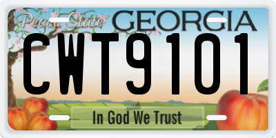 GA license plate CWT9101