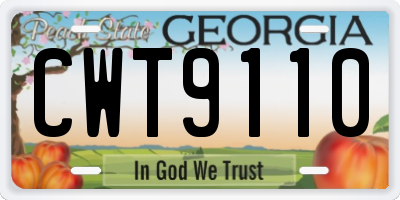 GA license plate CWT9110