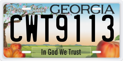 GA license plate CWT9113