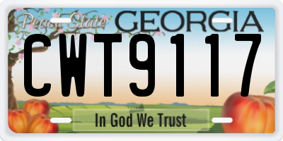GA license plate CWT9117