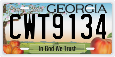 GA license plate CWT9134