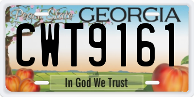 GA license plate CWT9161