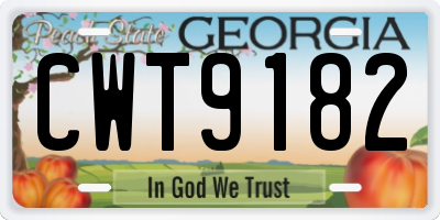 GA license plate CWT9182