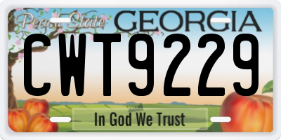 GA license plate CWT9229