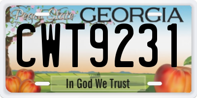 GA license plate CWT9231
