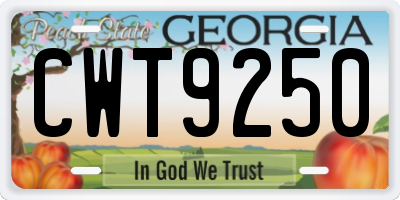 GA license plate CWT9250