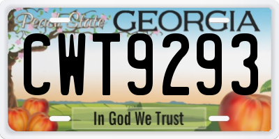 GA license plate CWT9293