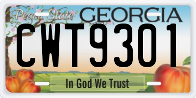 GA license plate CWT9301
