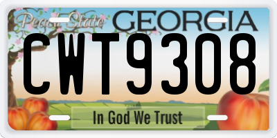 GA license plate CWT9308