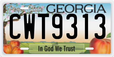 GA license plate CWT9313