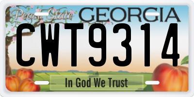 GA license plate CWT9314