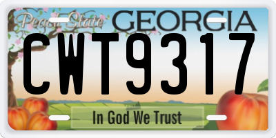 GA license plate CWT9317