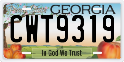 GA license plate CWT9319