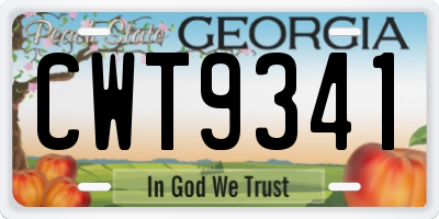 GA license plate CWT9341