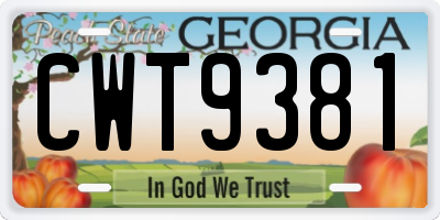 GA license plate CWT9381