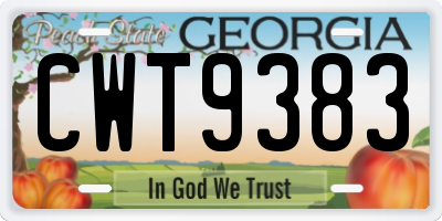 GA license plate CWT9383