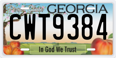 GA license plate CWT9384