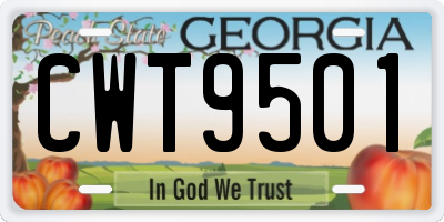GA license plate CWT9501