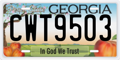 GA license plate CWT9503