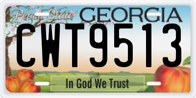 GA license plate CWT9513