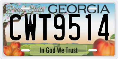 GA license plate CWT9514