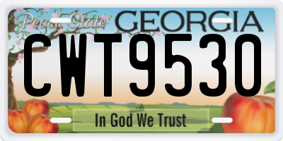 GA license plate CWT9530