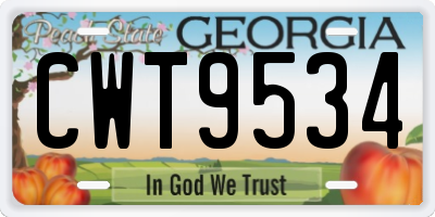 GA license plate CWT9534