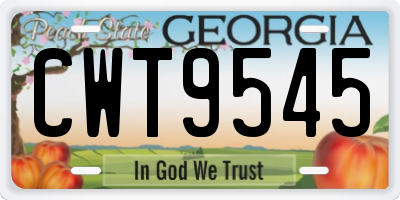 GA license plate CWT9545