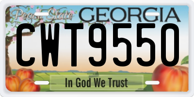 GA license plate CWT9550