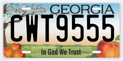 GA license plate CWT9555