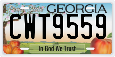 GA license plate CWT9559