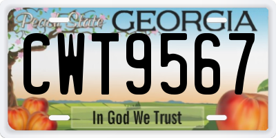 GA license plate CWT9567