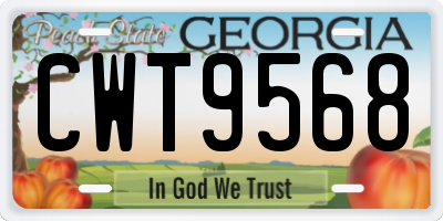 GA license plate CWT9568