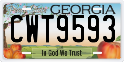 GA license plate CWT9593