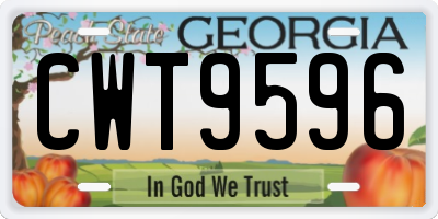GA license plate CWT9596