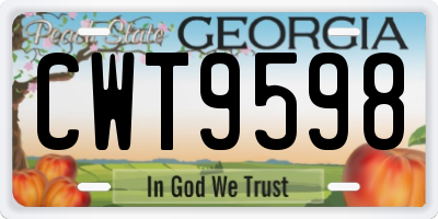 GA license plate CWT9598