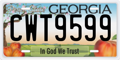 GA license plate CWT9599
