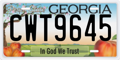 GA license plate CWT9645
