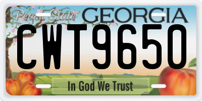 GA license plate CWT9650