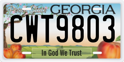 GA license plate CWT9803