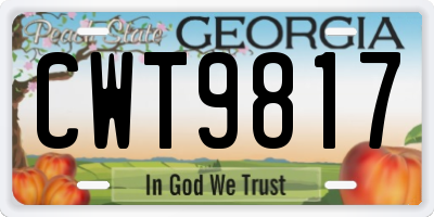 GA license plate CWT9817