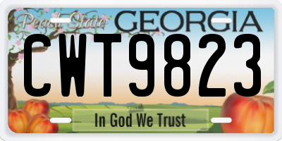 GA license plate CWT9823
