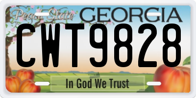 GA license plate CWT9828