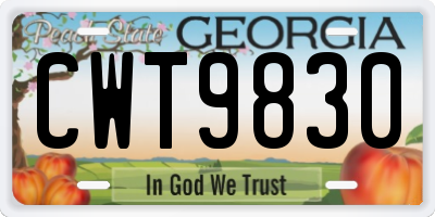 GA license plate CWT9830