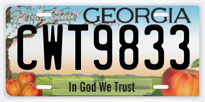 GA license plate CWT9833