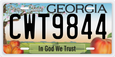 GA license plate CWT9844