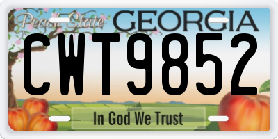 GA license plate CWT9852