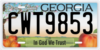 GA license plate CWT9853