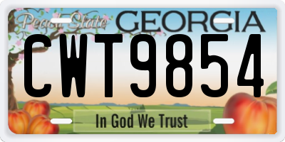 GA license plate CWT9854